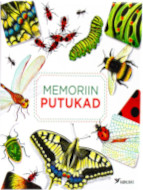 lauamängu ümbris